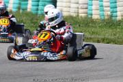 20110501_ales_agnus (2174)